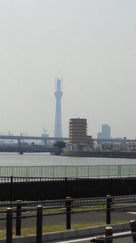 201009191234001.jpg