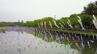 201105031221000.jpg