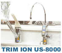 ����������󥯷��ʥӥ�ȥ��󥿥���) TRIM ION US-8000